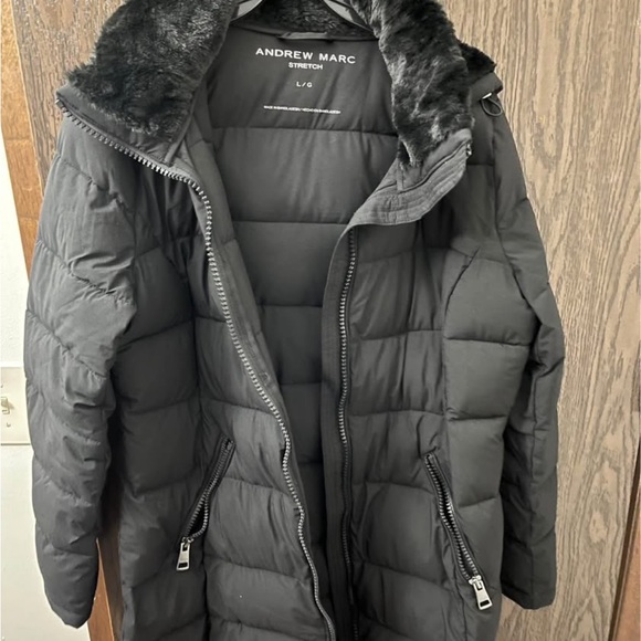 Jacket - Picture 2 of 4